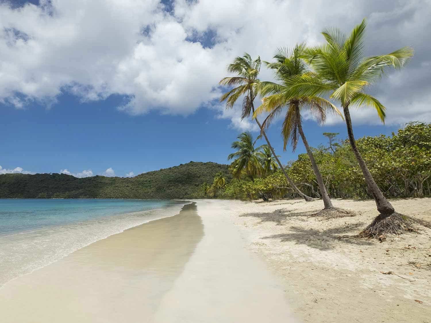 Best Beach Resorts in the U.S. Virgin Islands