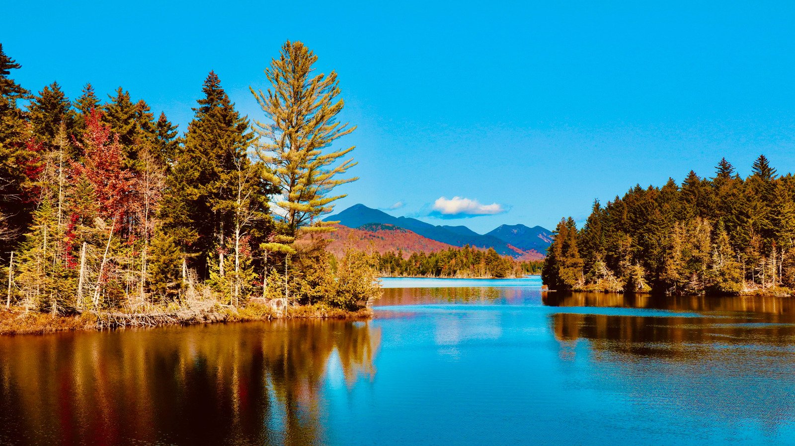 Not Florida, Not Vermont — This Surprising State Has The Cleanest Air On The East Coast In 2026