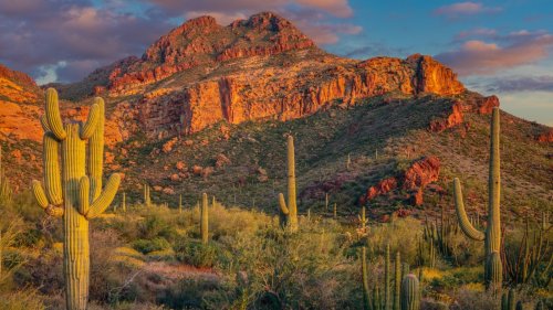 Page's Secret Sand Cave Tucked Behind A Gas Station In Arizona Is A Surreal Orange-Hued Photogenic Gem