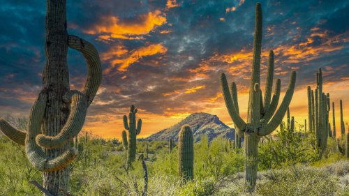 Situated Between Sedona And Phoenix Is One Of Arizona's Best-Kept Secrets With Old West Charm And Art