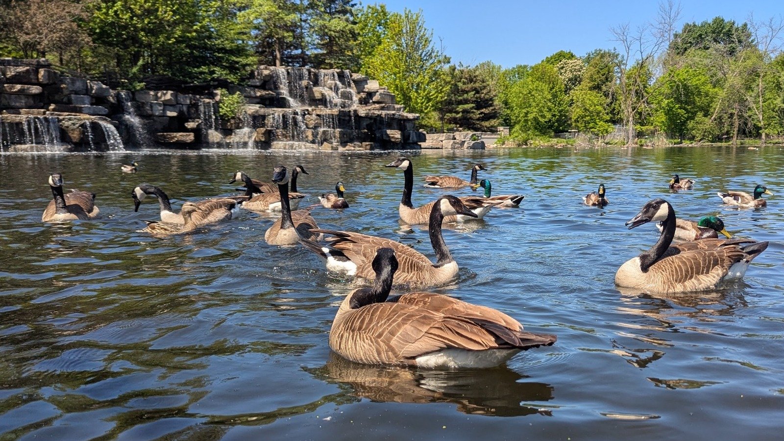 Green Bay's Largest Park Is An Idyllic Nature Escape With Scenic Trails And Wildlife