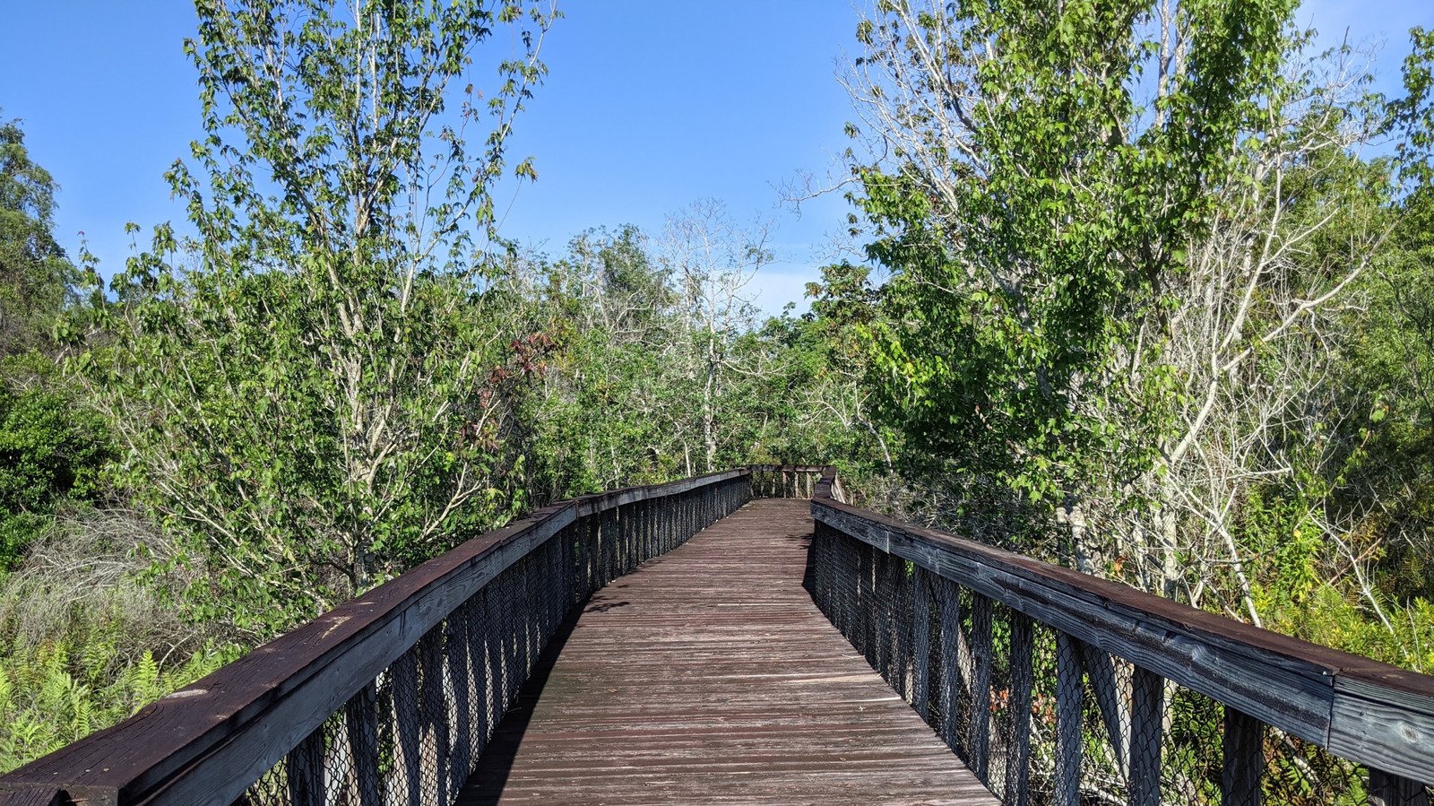 Outside Orlando Is Florida's Former Cattle Land That's Now A Wetland Nature Park With Scenic Trails And Wildlife