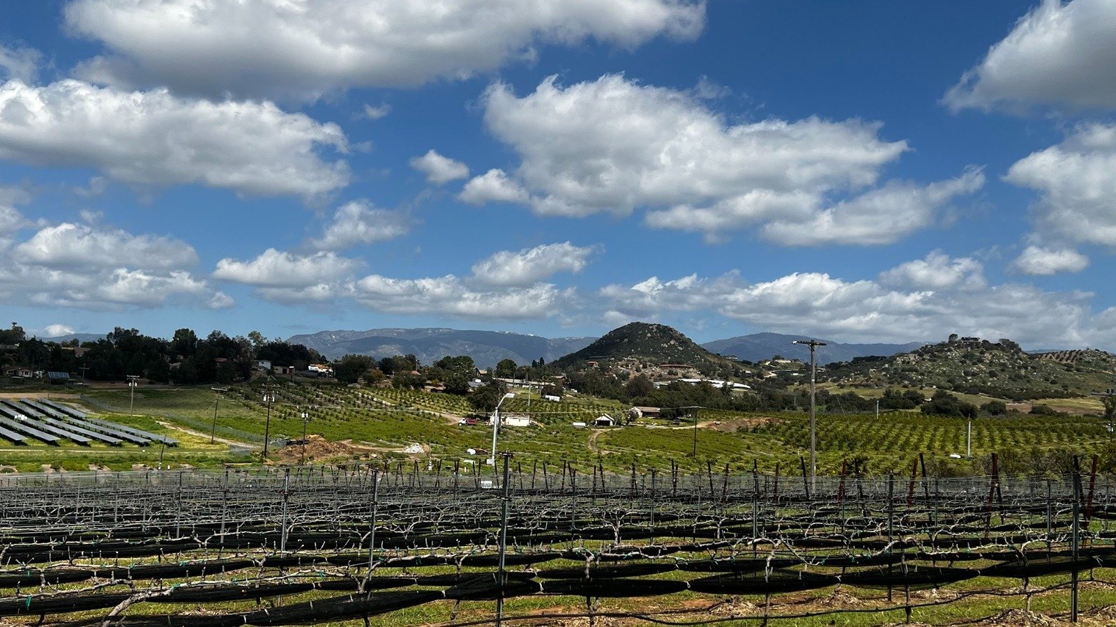 Between Palm Springs And San Diego Is A California Community With Casinos, Wineries, And Charming Farms