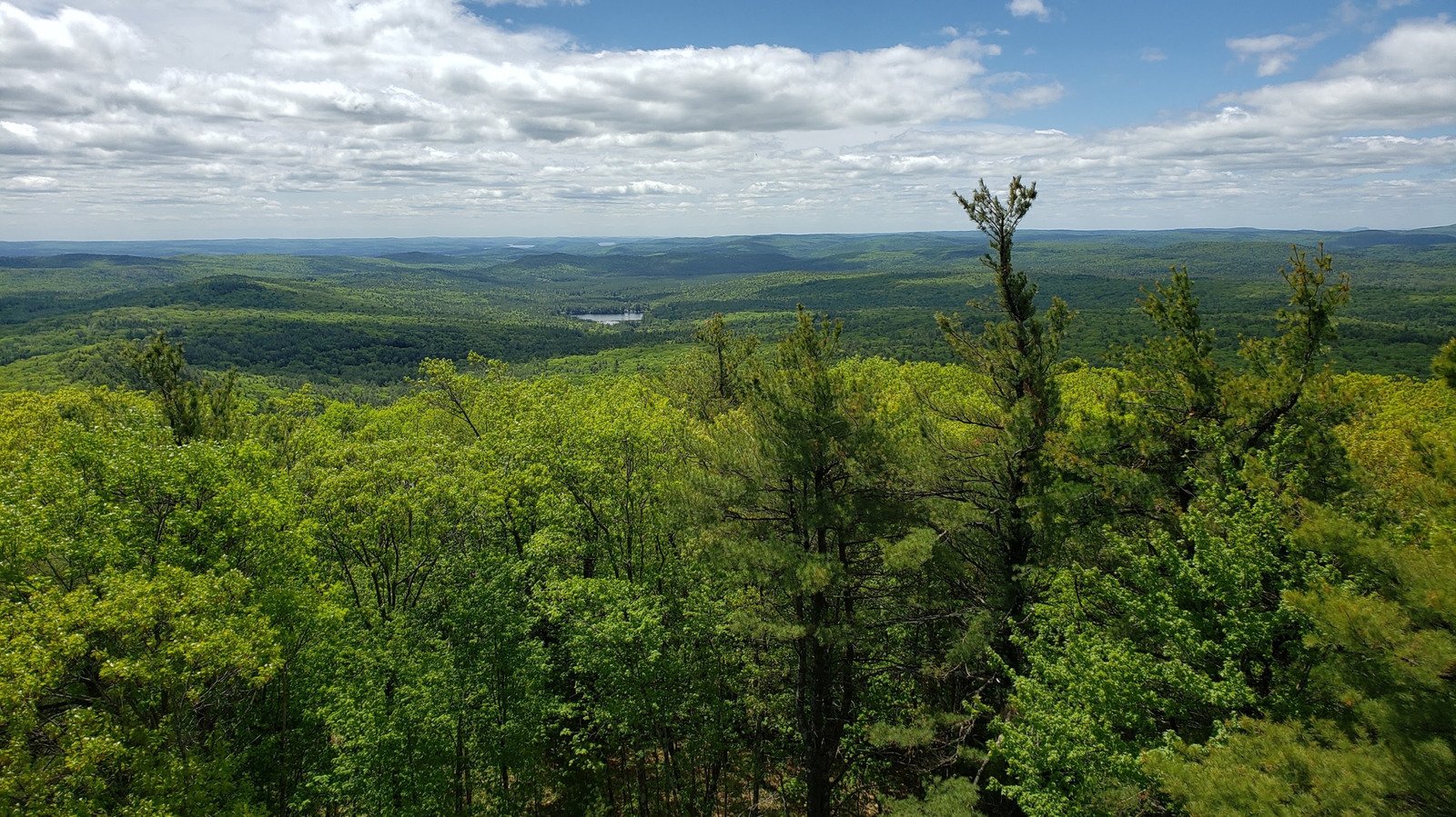 Under Two Hours From Boston Is Massachusetts' Scenic State Forest With Trails And Mountain Views