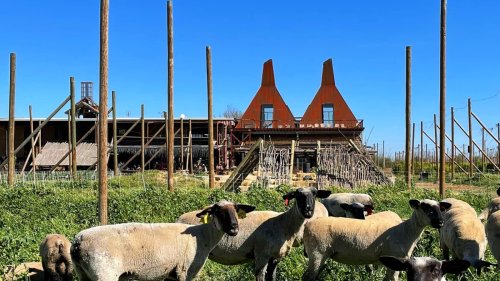 Just Outside Of Sacramento Is A Lovely California Farm And Brewery With Music, Craft Beer, And Food Trucks