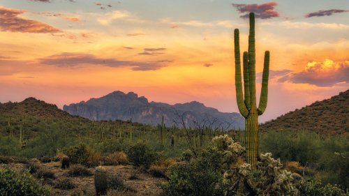 Arizona's Third-Largest City Is An Affordable Desert Getaway With Scenic Canyon Views And Warm Weather