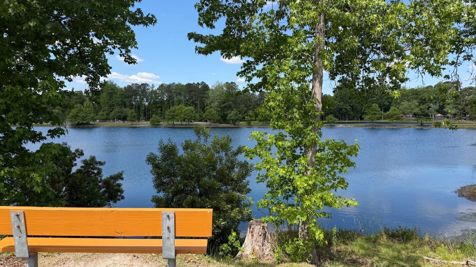 Under An Hour From Myrtle Beach Is North Carolina's Small Town With Lake Fun, Camping, And Historic Charm