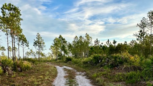 One Of Southwest Florida's Best Escapes Is A Remote State Park With Pristine Waters And Secluded Trails