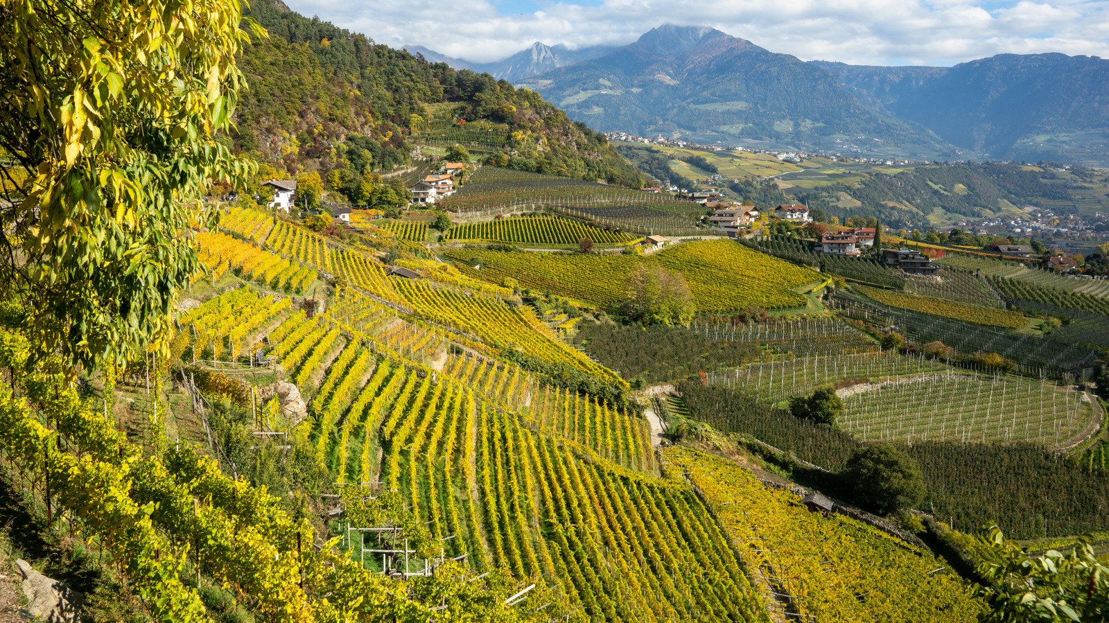 The Hands-Down Best Wine Region In Italy That Isn't Tuscany