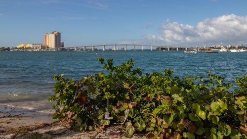 This Florida Park By Palm Beach Is A Surreal Snorkeling Paradise With Easy-To-Spot Sea Life