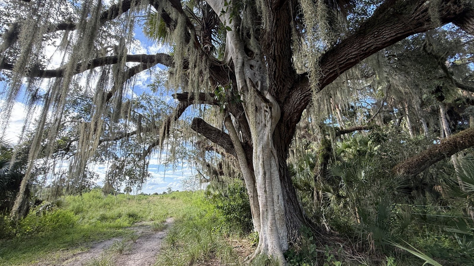Sandwiched Between Fort Myers And Fort Lauderdale Is Florida's Once-Thriving Ranch That's Now A Nature Preserve
