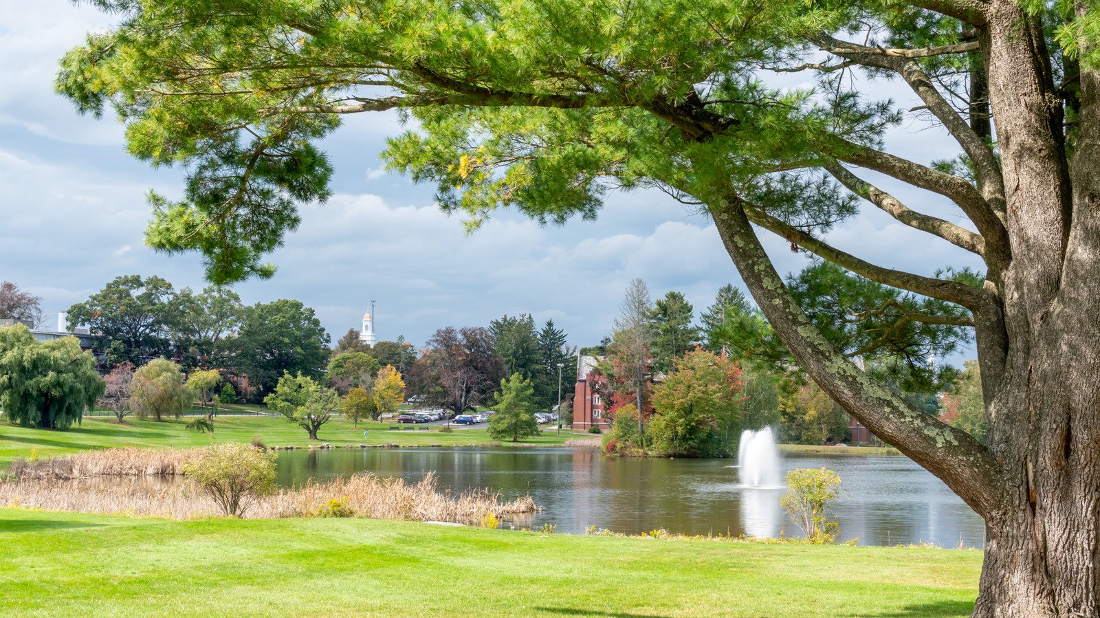 Connecticut's Bustling College Town Is A Charming New England Getaway With Endless Outdoor Fun