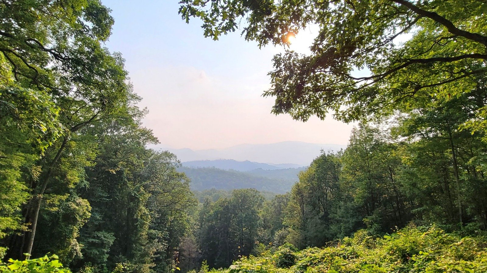 One Of The Great Smoky Mountains' Most Scenic Drives Offers A One-Way Journey Through Natural Beauty And History