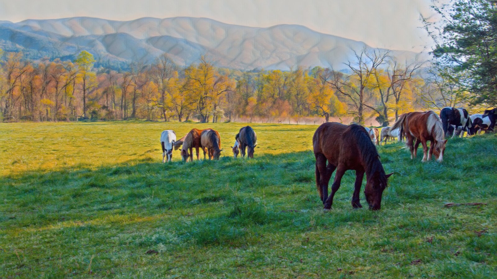 Forget The Great Smoky Mountains National Park, Visit These 9 Less-Crowded Alternatives Instead