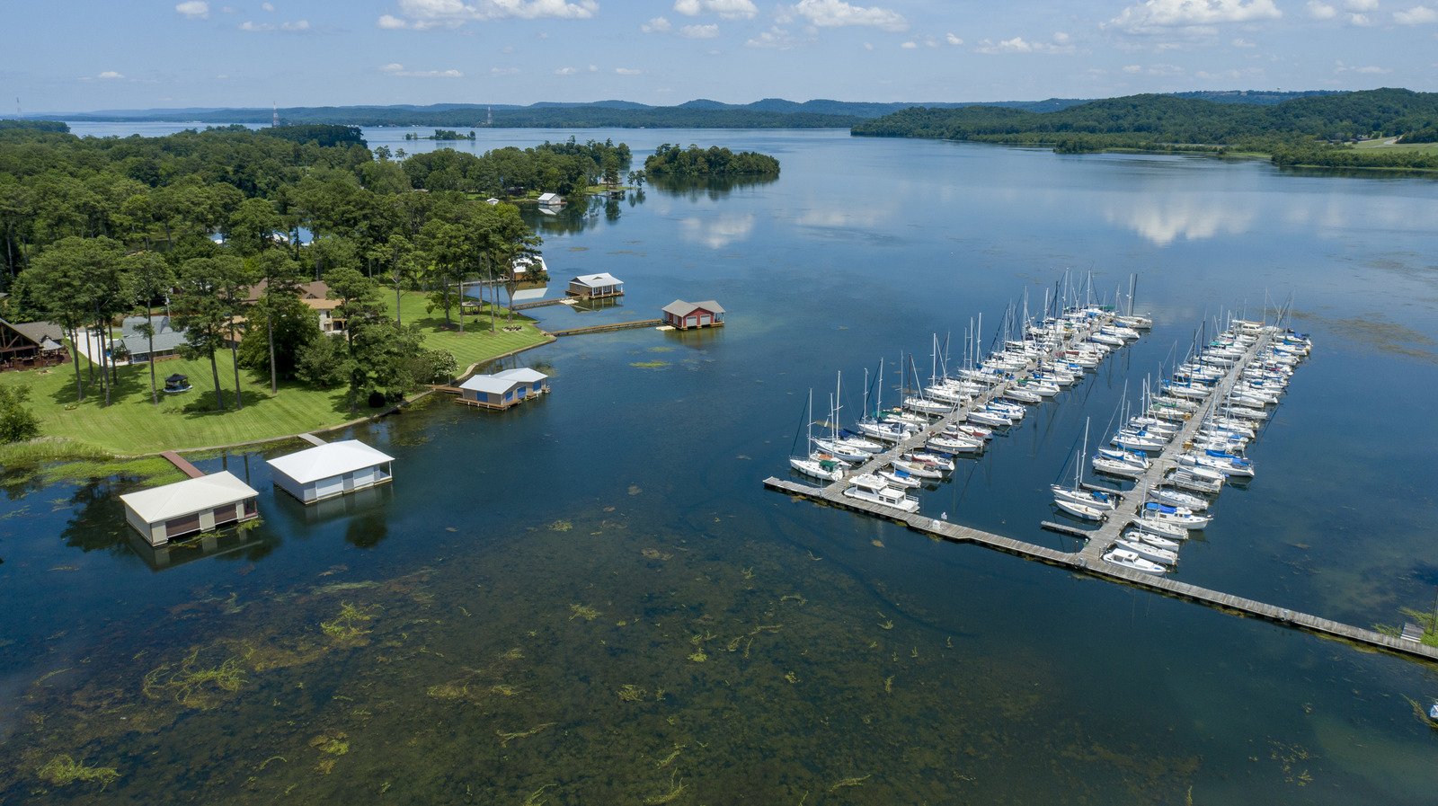 Be Careful Going Anywhere Near The Most Snake-Infested Lakes In America, According To Research