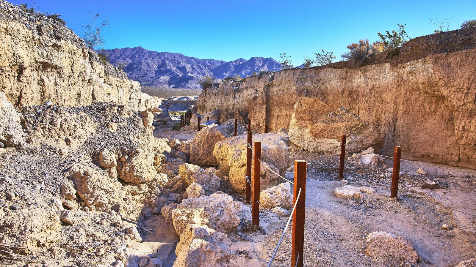 Nevada's New State Park Is Half An Hour From The Strip With Family-Friendly Trails And Prehistoric Fossils