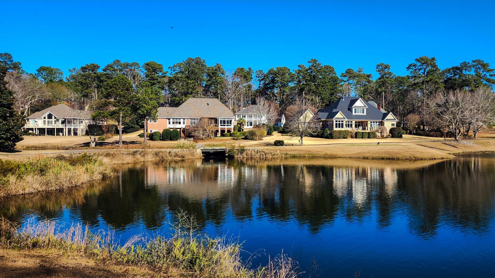 Forget Florida, Retire To South Carolina's Border County With Affordable Living, A Vibrant City, And Outdoor Fun