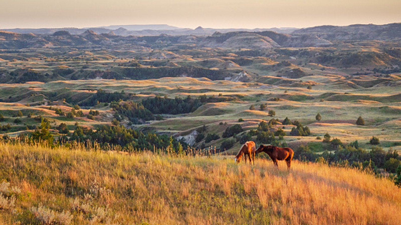 Forget Florida, Retire To This Midwest Gem With Gorgeous Mountain Views And Affordable, Healthy Living