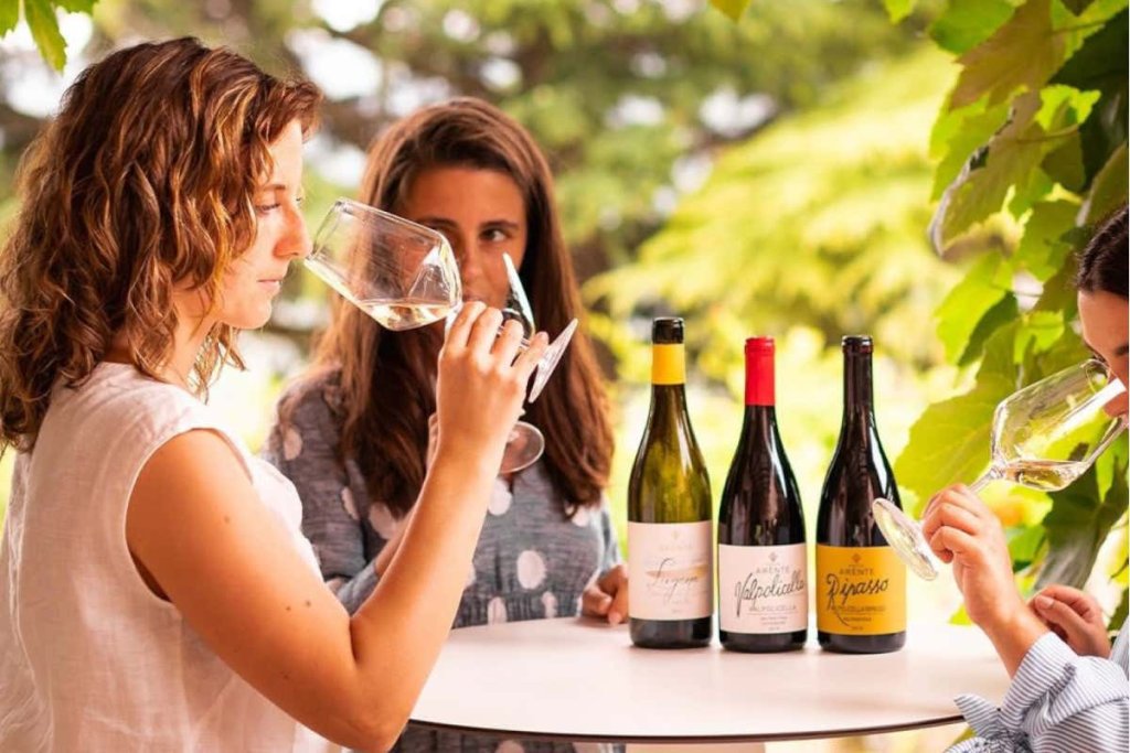 Wine: Notizie, Recensioni e Ultime Novità - cover