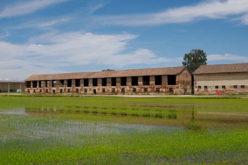 Weekend in Lomellina: risaie, treno a vapore e cascine aperte dal 23 al 25 maggio
