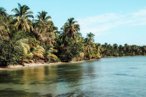 Panama: Sehenswürdigkeiten & Tipps für Bocas del Toro