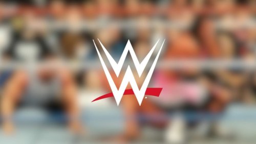 UFC Veteran Believes WWE 2025 Hall Of Fame Mention Was “An Honor”