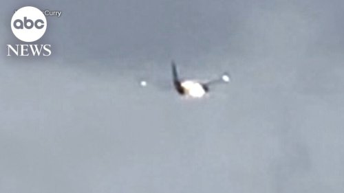 Boeing 737 Engine Catches Fire Mid-Air After Sucking In A Rabbit
