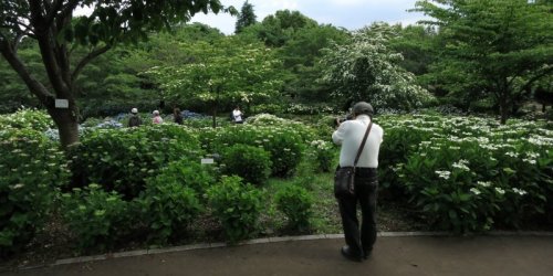 Sagamihara Kita Park