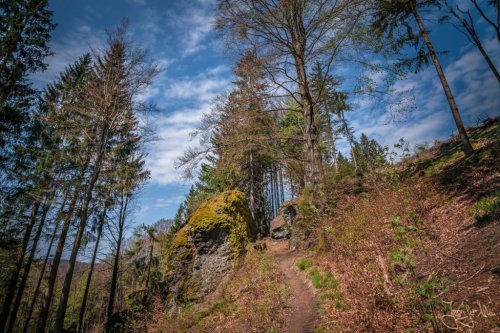 Wanderung Dachsbachkanzel, Schröderfelsen, Nadelöhr und Langertfelsen im Thüringer Wald