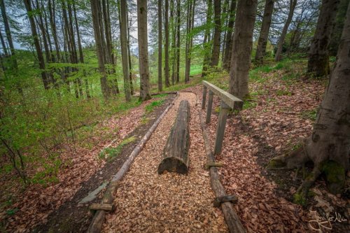 Der Barfußweg in Masserberg – Thüringer Wald