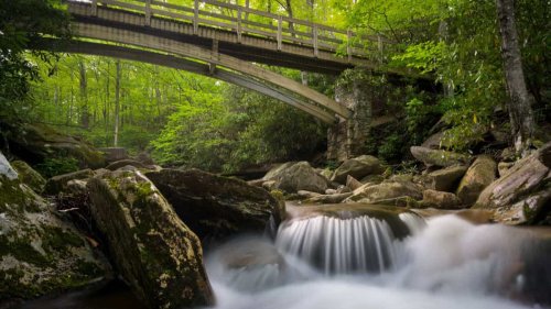 10 Best Hikes Near Boone NC You Shouldn’t Miss