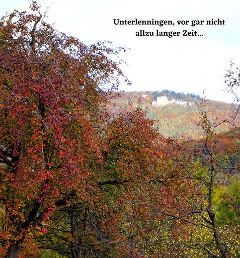 Vom Baum ins Glas - Besuch bei Bosch Fruchtsäfte
