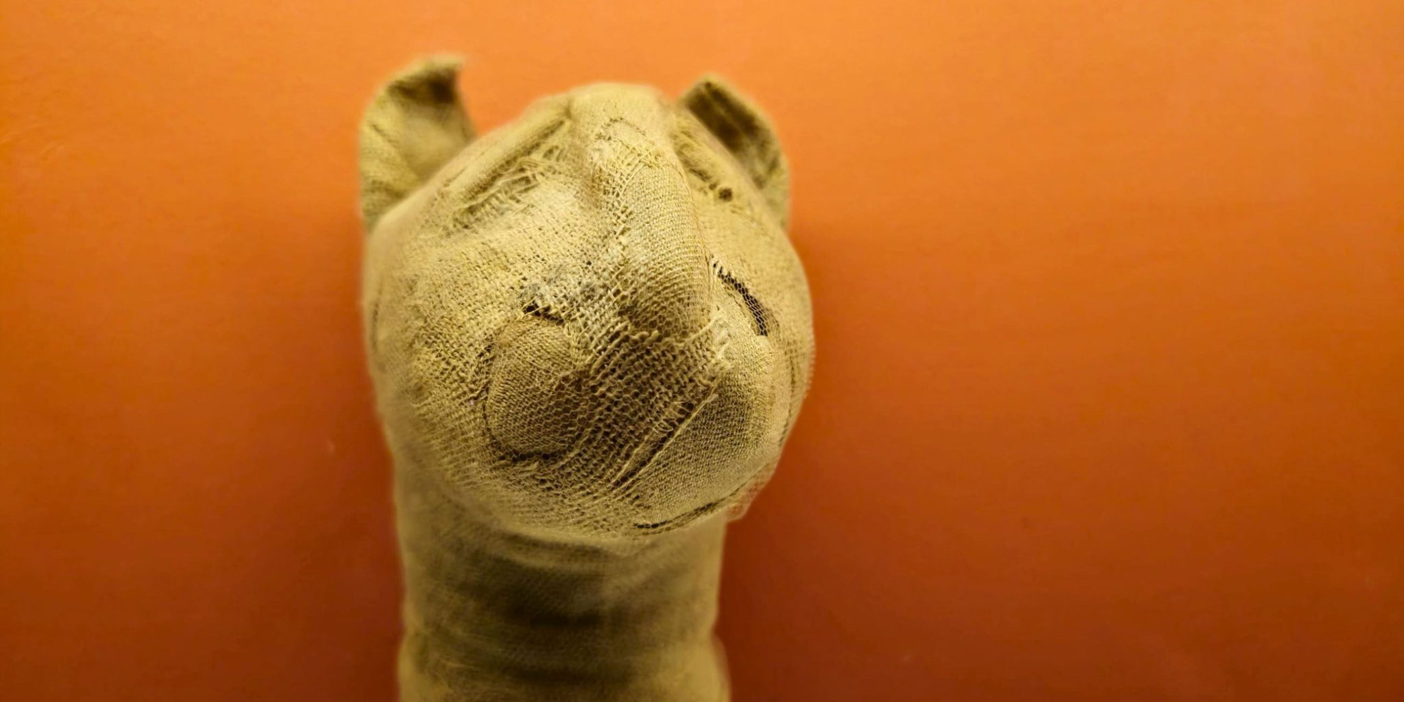 Why did Ancient Egyptians mummify animals?