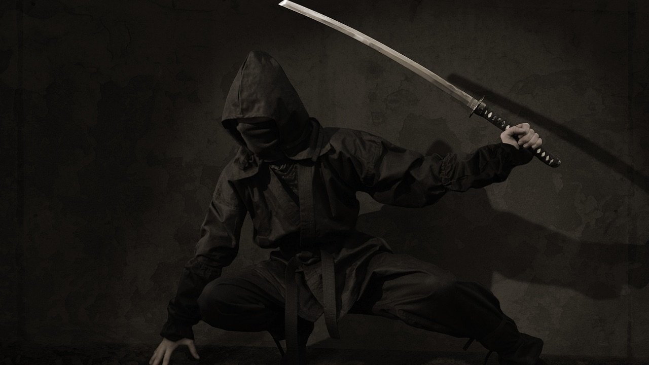 Unmasking the myth: The true history of ninjas