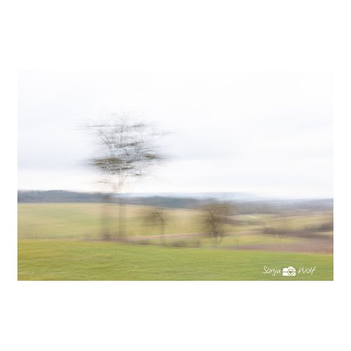 Blick Richtung Alb