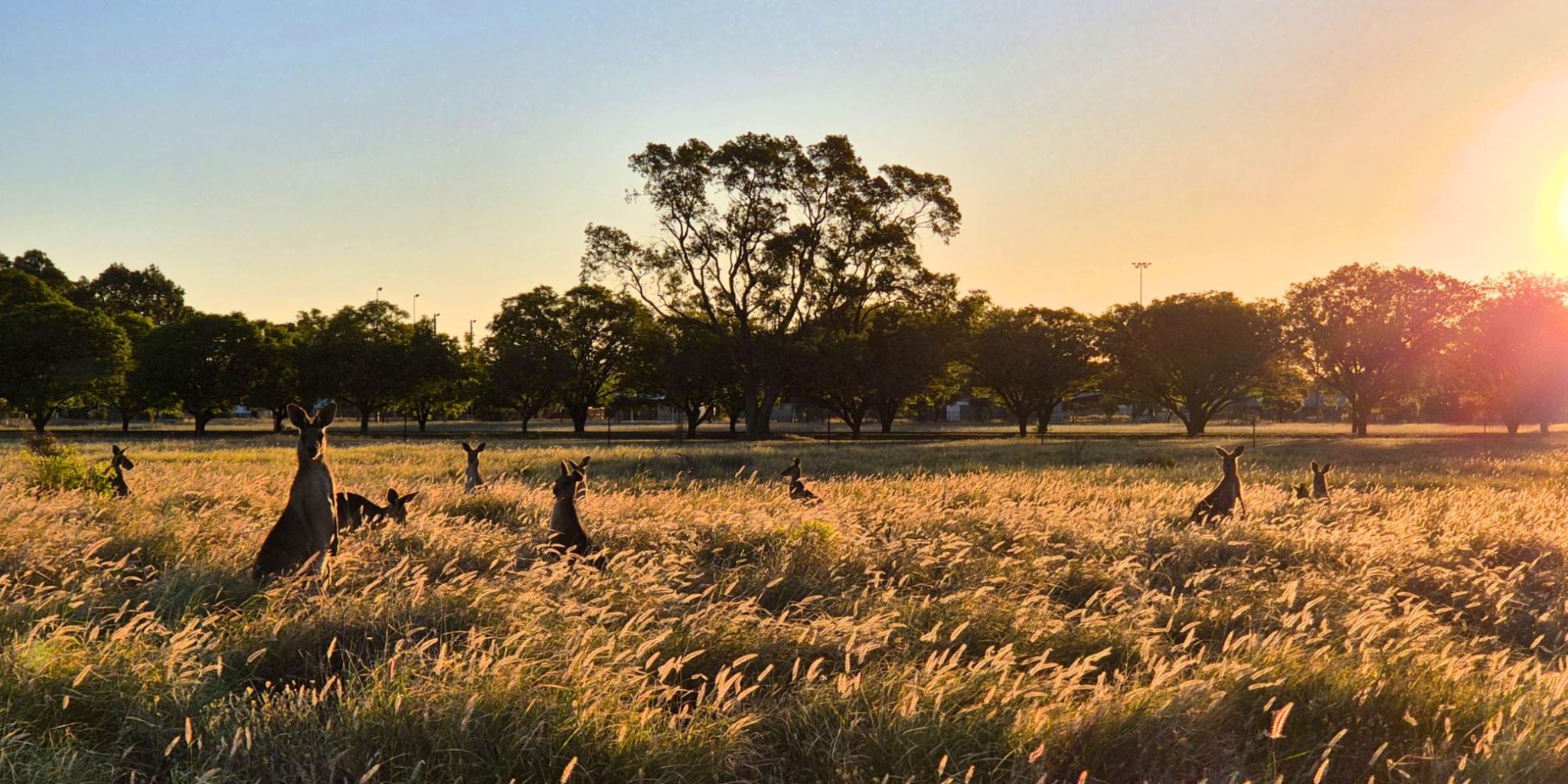 How did the first humans reach Australia?