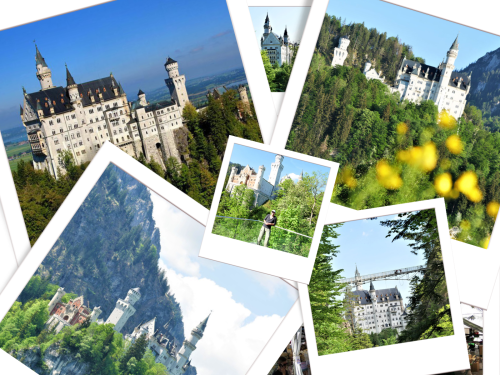 Ausflug zum Schloss Neuschwanstein: Die besten Aussichtspunkte & Fotospots