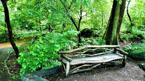 New York lᐅ Central Park Sehenswürdigkeiten: Ein Tag im Großstadt Dschungel