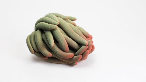 Des sculptures organiques qui créent une confusion visuelle - Journal du Design