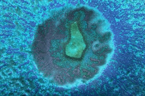 L’Europe s’inquiète de bactéries coriaces repérées dans la nourriture
