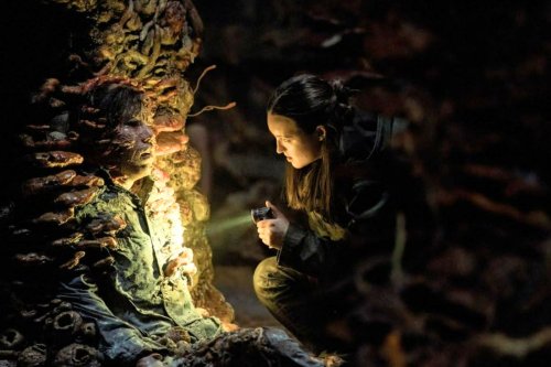 The Last of Us : quelle différence entre les morsures et les spores ?