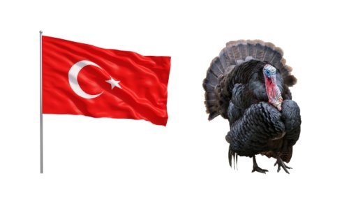 Still Turkey? Western news media ignores Ankara’s call to rename ‘Türkiye’