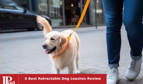 8 Best Retractable Dog Leashes Review