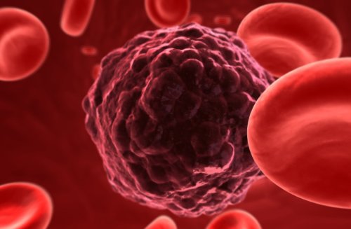 Israeli biotech company begins trial for cancer immuno-oncology solution
