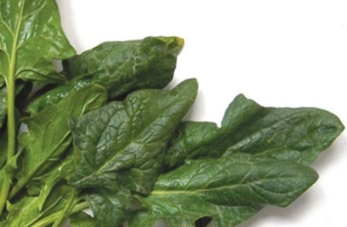 This is the amazing thing that spinach does to your brain
