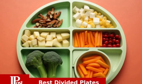 10 Most Popular Divided Plates for 2023