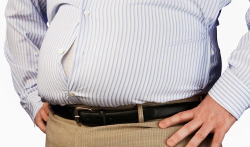 Source of ‘yo yo’ obesity revealed by Weizmann Institute researchers