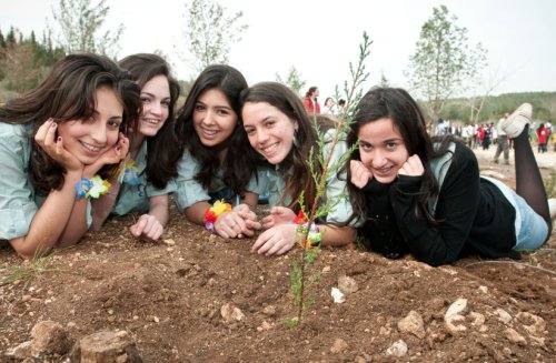 Tu Bishvat: Happy new year – if you're a tree
