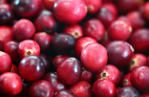 How cranberries could improve memory and ward off dementia - study