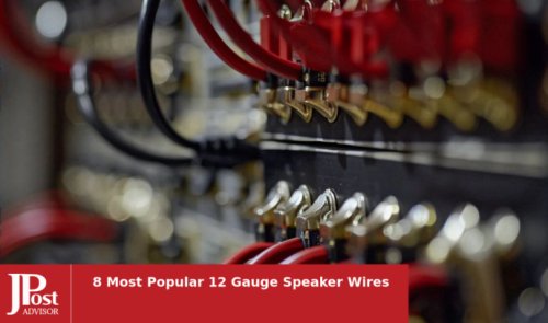 8 Most Popular 12 Gauge Speaker Wires of 2024